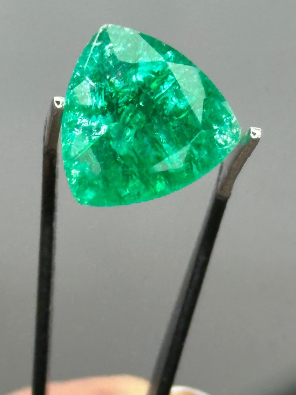 Natural Emerald w/Info Card *enhanced*